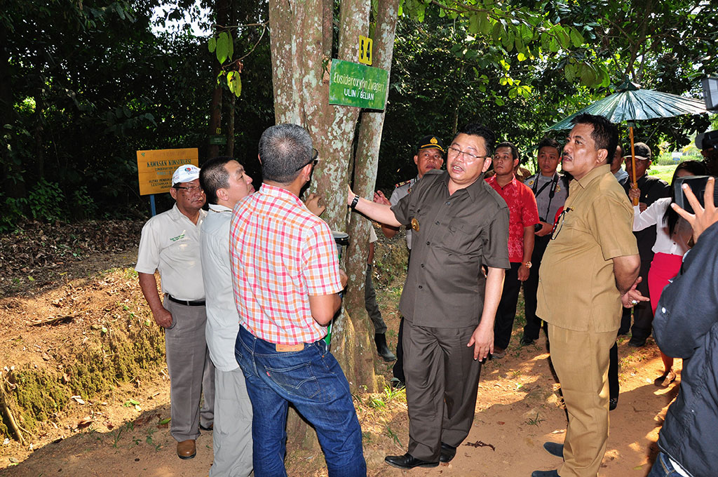 Kunjungan Gubernur Kalbar Bpk. Cornelis ke Area konservasi PT. CUS - 04 Sept, 2014 Kayong Utara, Kalimantan Barat
