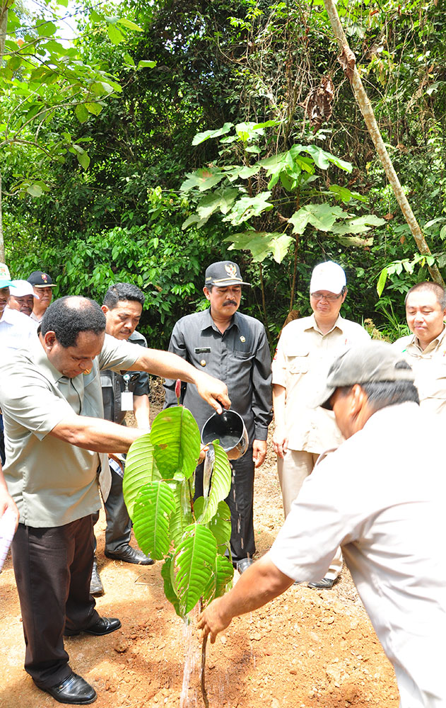 Penanaman pohon Tengkawang oleh Menteri Lingkungan Hidup RI, Prof. Dr. Balthasar Kambuaya, MBA di area konservasi PT. CUS, 11 Apr 2014