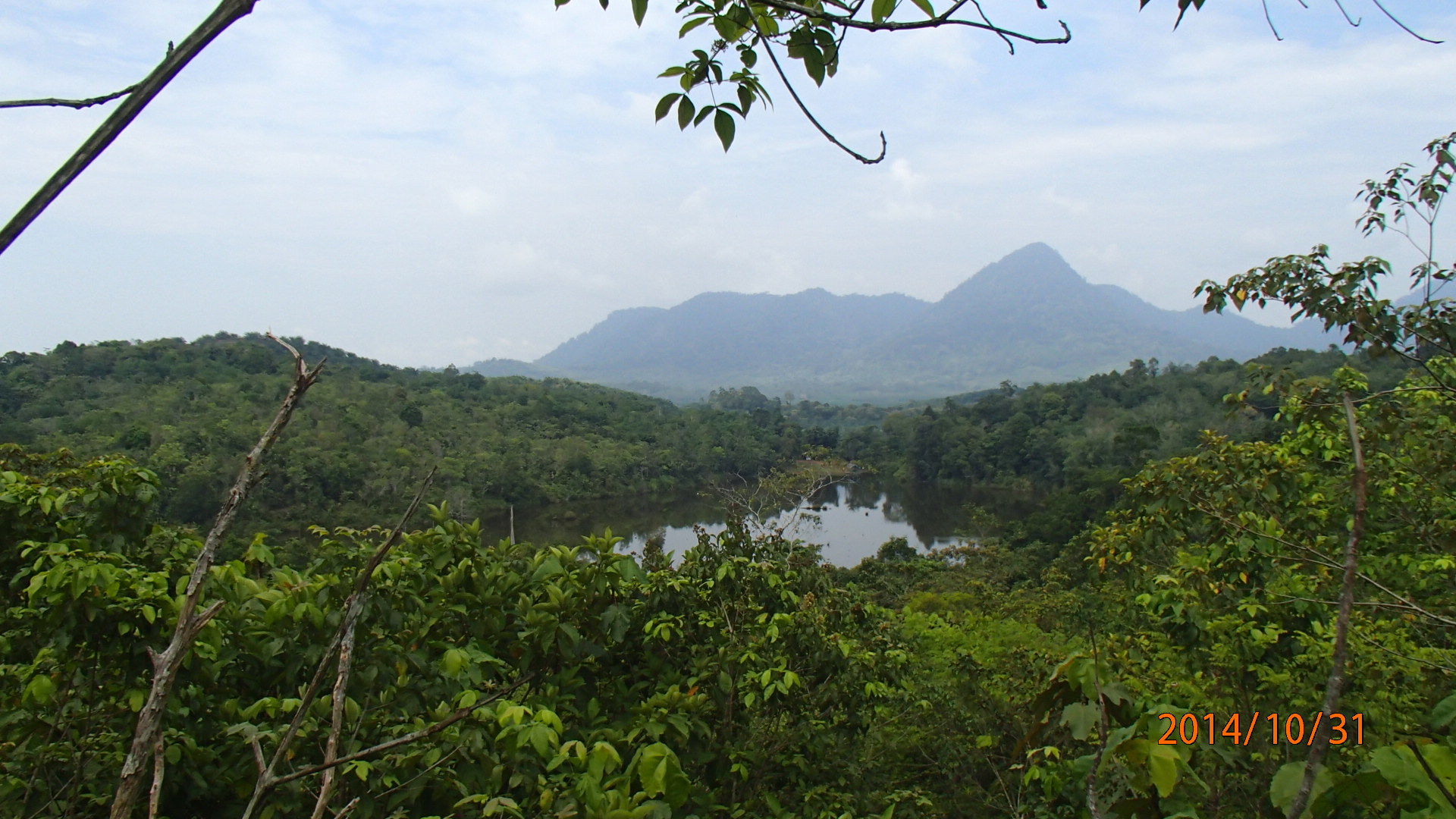 Area Nilai Konservasi Tinggi (Danau Mabali 1 ) PT.CUS