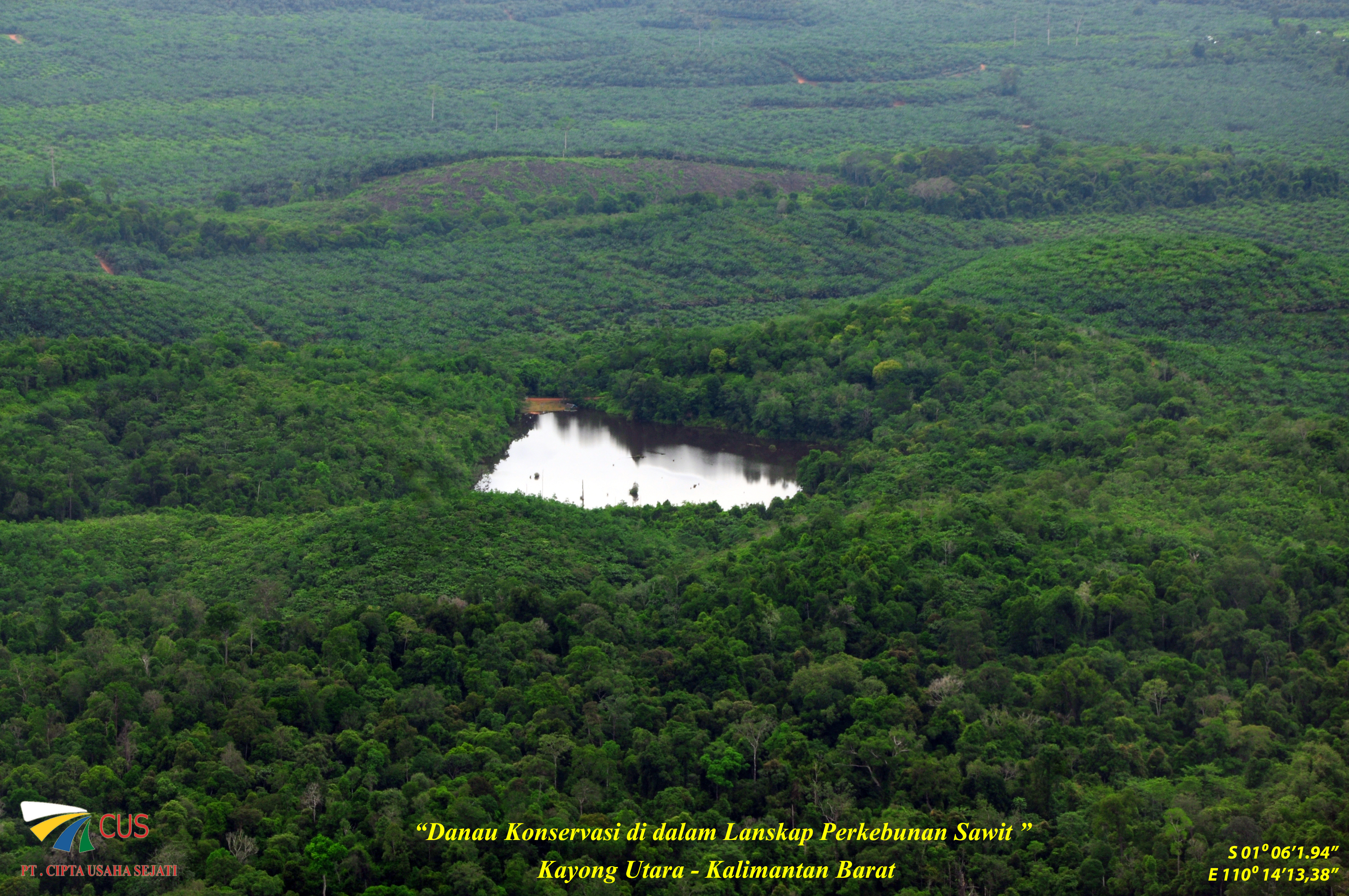 Danau Konservasi di dalam Lanskap Perkebunan Sawit, Kayong Utara - Kalimantan Barat