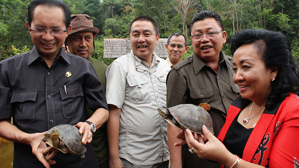 Bpk. Cornelis dan Ibu melepaskan kura-kura ke danau konservasi PT. CUS - 04 Sept, 2014 Kayong Utara, Kalimantan Barat